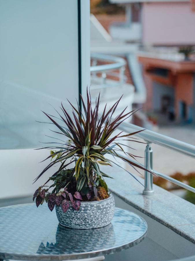 Apartments Gjenashaj 울친 외부 사진